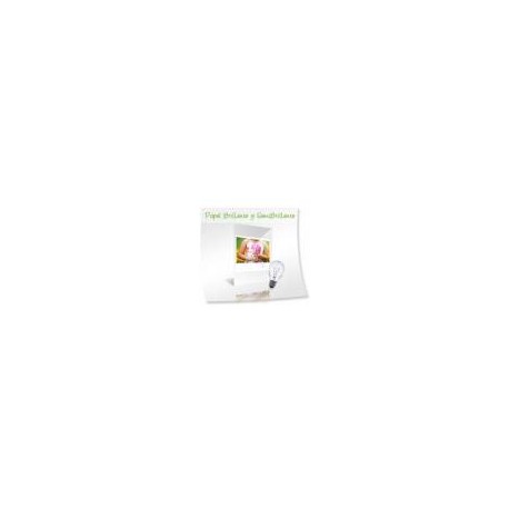PAPEL EPSON 8.5 X11  FOTOGRAFICO PREMIUM SATINADO C 20