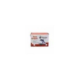 BUNDLE MARCADOR PIZARRON BLANCO NEXTEP ROJO C 12  CONT. 2 PIEZAS