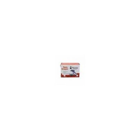 BUNDLE MARCADOR PIZARRON BLANCO NEXTEP ROJO C 12  CONT. 2 PIEZAS