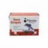 BUNDLE MARCADOR PIZARRON BLANCO NEXTEP ROJO C 12  CONT. 2 PIEZAS