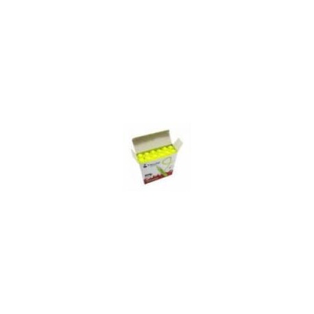 BUNDLE MARCADOR PIZARRON BLANCO NEXTEP AZUL C 12  CONT. 2 PIEZAS