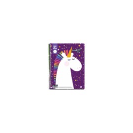 CUADERNO ESTRELLA PROFESIONAL PREMIUM LINEA B RAYA 105 HJS
