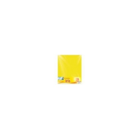 CORTADOR CORTY 5025 GRANDE PUNTA FLECHA C 25