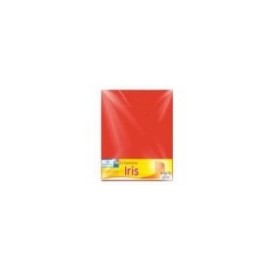 CARTULINA EUROMAC BRISTOL BLANCA 50X65 PQT 100H
