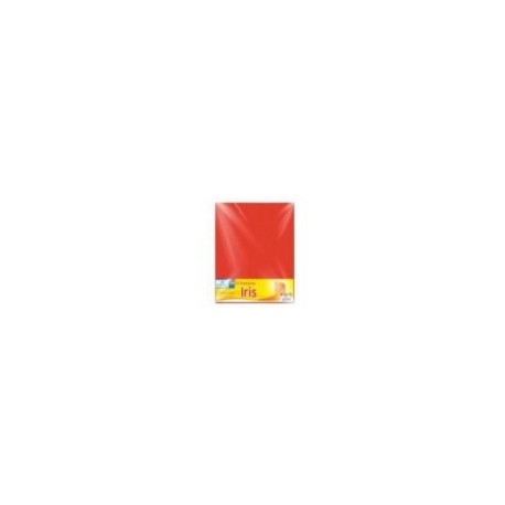 CARTULINA EUROMAC BRISTOL BLANCA 50X65 PQT 100H