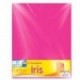 CARTULINA EUROMAC BRISTOL ROSA 50X65 PQT 100H