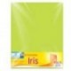 CARTULINA EUROMAC FLUORESCENTE AZUL 47.5X66CM C 10