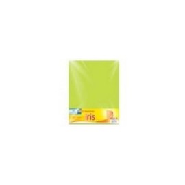 CARTULINA EUROMAC FLUORESCENTE AZUL 47.5X66CM C 10