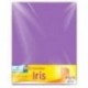 CARTULINA EUROMAC FLUORESCENTE MORADO 47.5X66 C 10