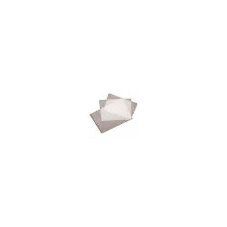 MICAS TéRMICAS BARRILITO 120X195MM CAJA C 100 PZAS (200 MICRAS)