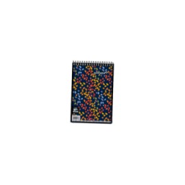 BLOCK ESTRELLA TAQUIGRAFIA ESPIRAL LARGO 80 HJS