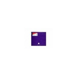 CAJA PORTADOCUMENTOS ICLIP VIOLETA