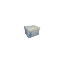CAJA GEO ARCHIVO PLASTICA CARTA