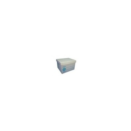 CAJA GEO ARCHIVO PLASTICA CARTA