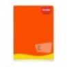 CUADERNO SCRIBE FRANCES GRAPADO C7 100 HJS C 48