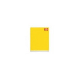 CUADERNO SCRIBE PROFESIONAL COSIDO CLASICO C5 100 HJS C 24