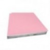 CARTULINA EUROMAC BRISTOL ROSA 50X65 PQT 100H