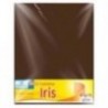 CARTULINA EUROMAC IRIS CAFE 50X65CM C 10