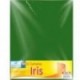 CARTULINA EUROMAC IRIS VDE BANDERA 50X65 C 10