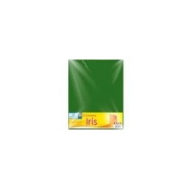 CARTULINA EUROMAC IRIS VDE BANDERA 50X65 C 10