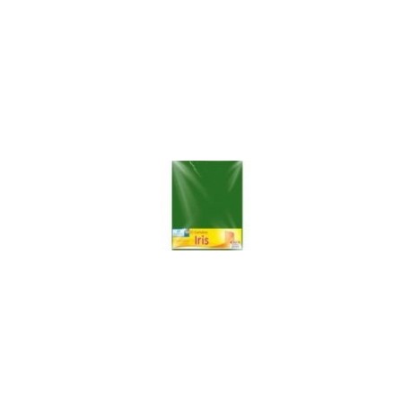 CARTULINA EUROMAC IRIS VDE BANDERA 50X65 C 10