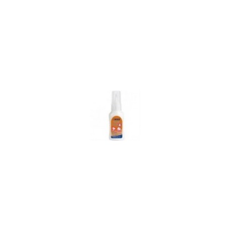 CORRECTOR LíQUIDO MAE 2 EN 1 BROCHA Y PLUMA C 12 PIEZAS DE 15ML