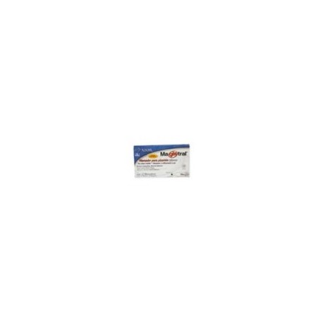 MARCADOR MAGISTRAL 83407 CAFE PARA PIZARRON C 12