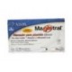 MARCADOR MAGISTRAL 83407 CAFE PARA PIZARRON C 12