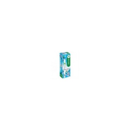 PLUMA CORRECTORA LIQUID PAPER CAJA C 6