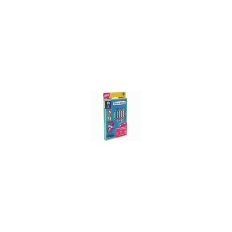 PLUMONES PAPERMATE DOBLE PUNTA COLORES SURTIDOS C 10X20