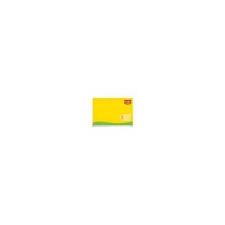 CUADERNO SCRIBE ITALIANO GRAPADO C7 100 HJS C 48